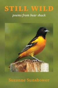 Book cover for "Still Wild: poems from bear shack" by Suzanne Sunshower features a Baltimore oriole perched on a wooden post against a blurred green background, with orange and white text.